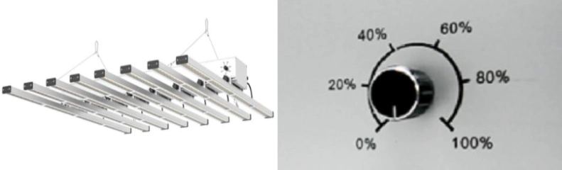 Full Spectrum Hydroponicn Spyder LED Grow Light for Indoor Plant Growth