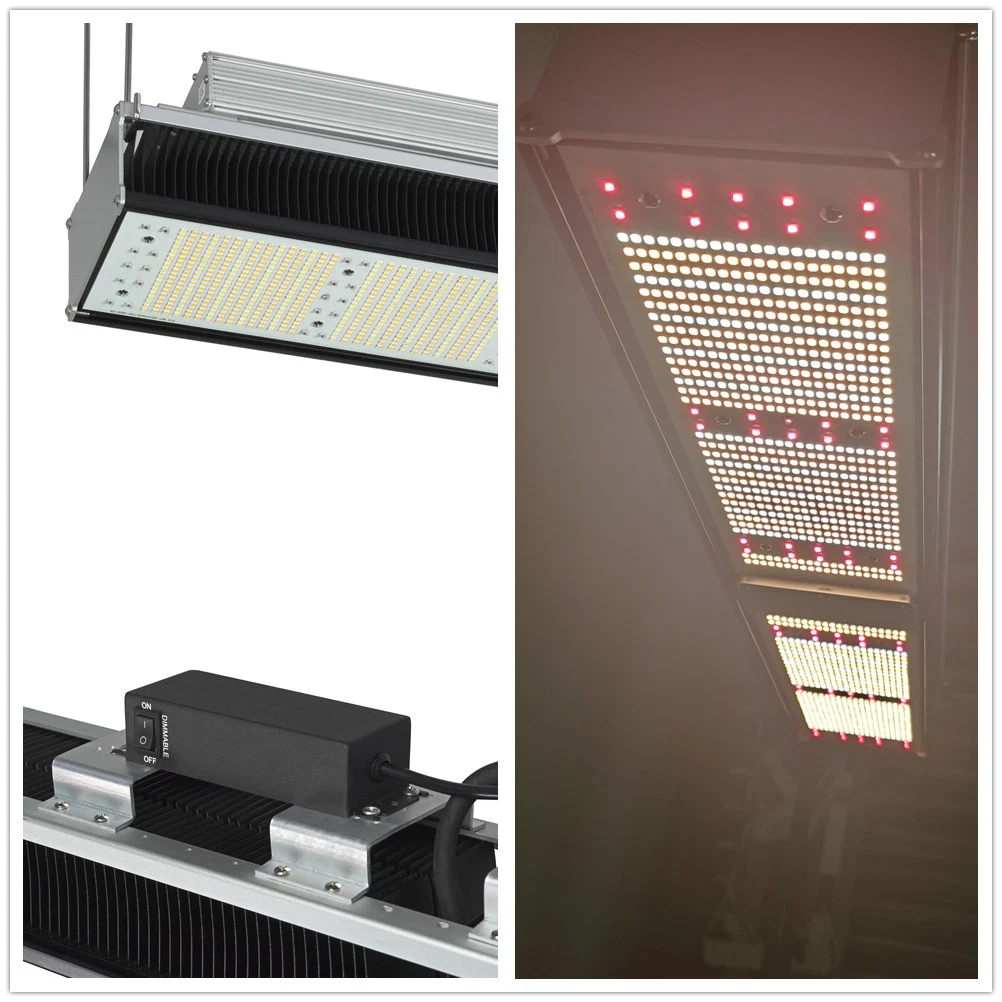 Shenzhen Factory 5 Years Warranty Smart Dimmable 300W Full Spectrum LED Grow Light