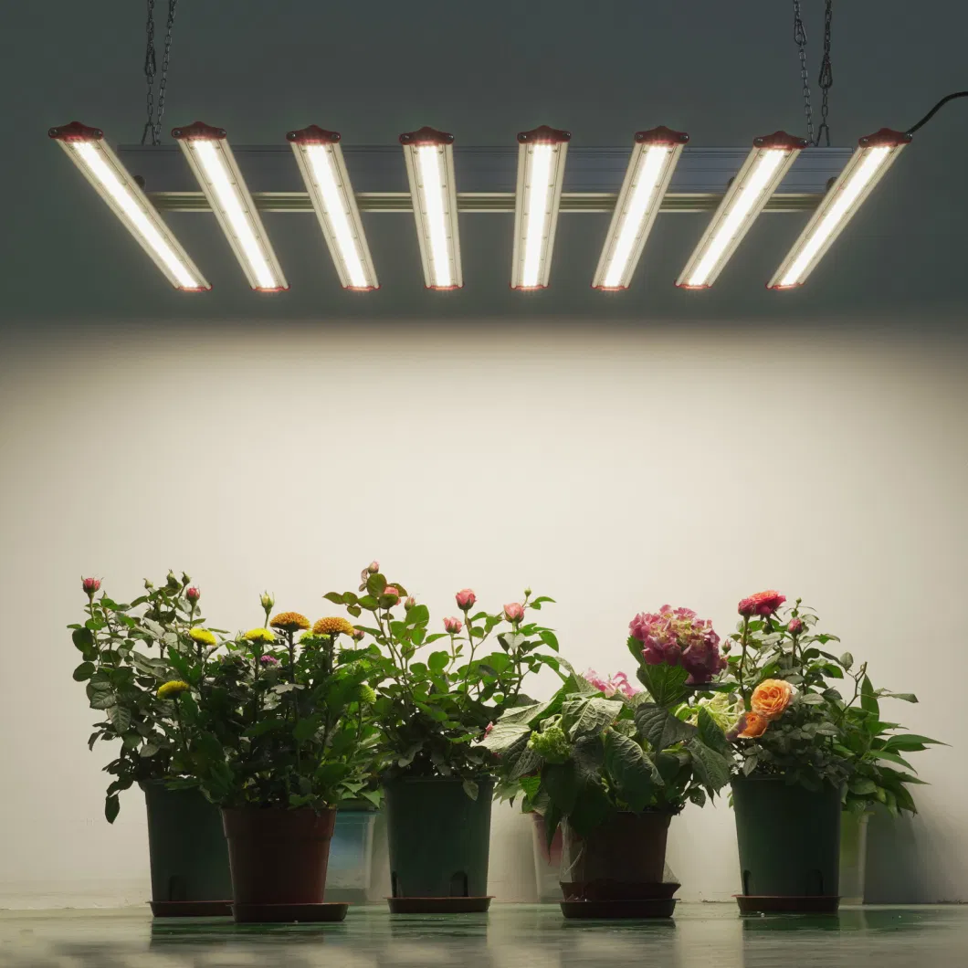 Lumin Hot Sale 300W 480W 650W Plant LED Lamp Grow Lights for Indoor Growers