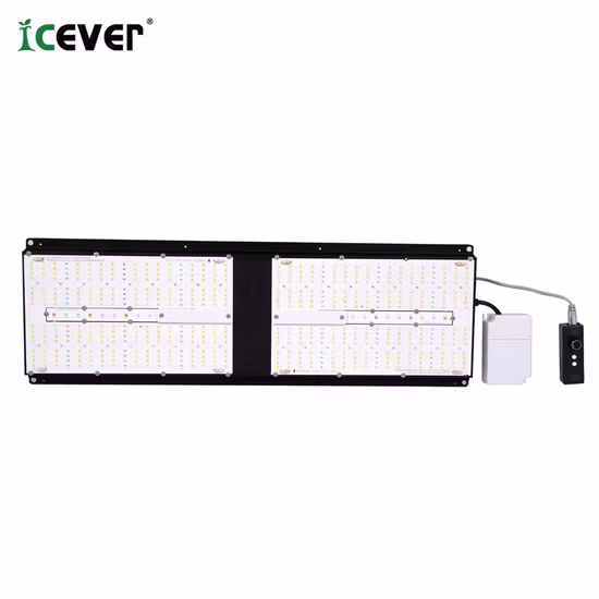 Lampada da coltivazione a LED con design retrattile per serra da interni commerciale da 800 W per la coltivazione di piante medicinali