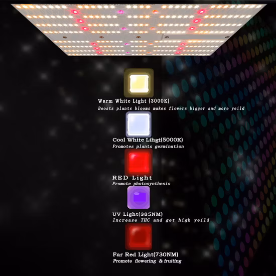 Luce di coltivazione a LED ad alto Ppfd dal design retrattile brevettato con dimmer a manopola e porta RJ